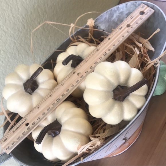 Fall Farmhouse Harvest large metal decorative pitcher with Cinderella pumpkin - Picture 9 of 16
